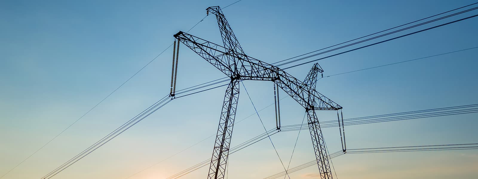 الشبكة الذكية