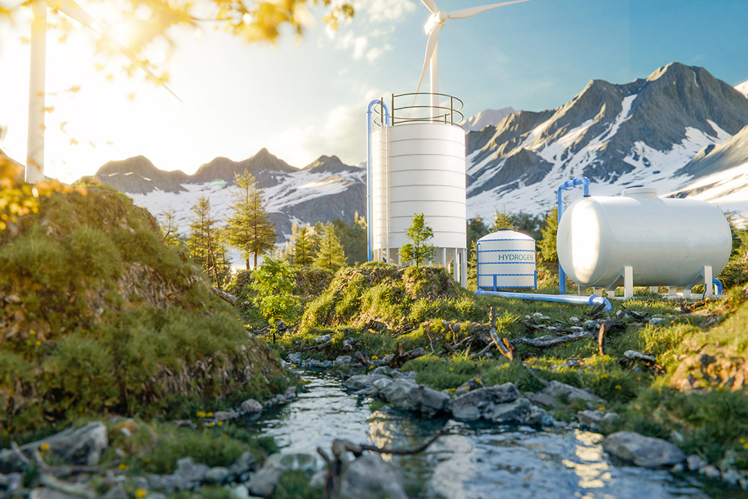 المجتمع والبيئة